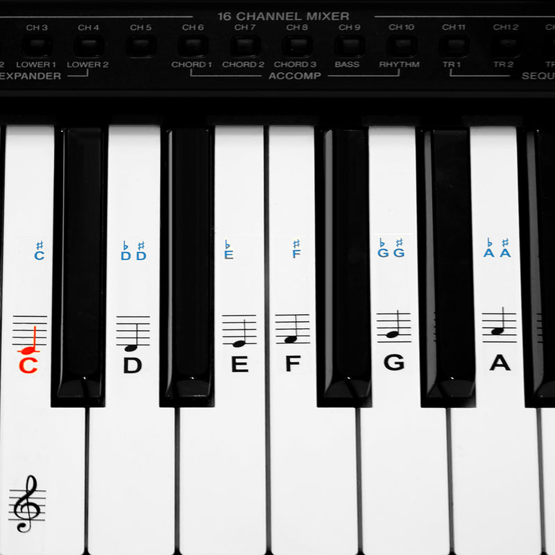 kwmobile Klavier Keyboard Noten Aufkleber - für 49 61 76 88 Tasten Instrumente - Vinyl Piano Sticker für weiße Tasten