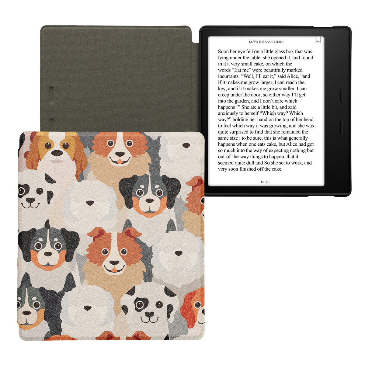 eReader Flip Case für Amazon Kindle Oasis 10. Generation mit Auto-Sleep