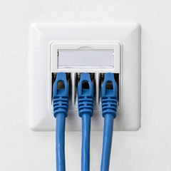 kwmobile Keystone Dose Modul Set - 2x Keystone Modul 2x Netzwerkdose 1-Port CAT 6A Kabel - 10Gibt/s geschirmt RJ45