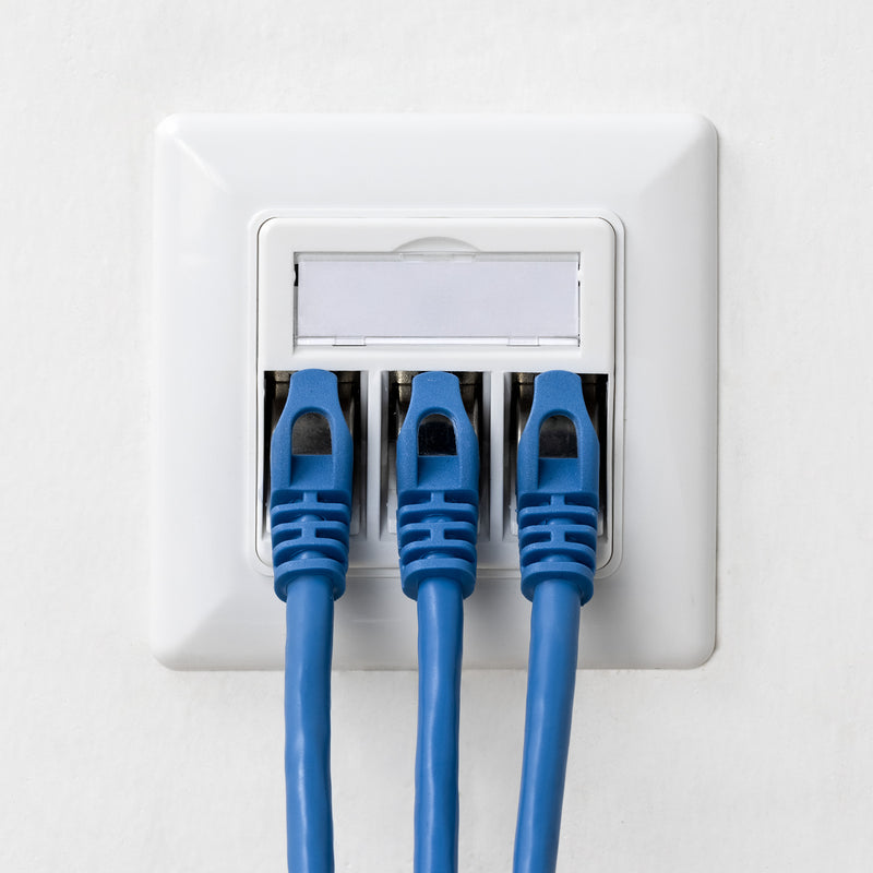 kwmobile Keystone Dose Modul Set - 2x Keystone Modul 2x Netzwerkdose 1-Port CAT 6A Kabel - 10Gibt/s geschirmt RJ45