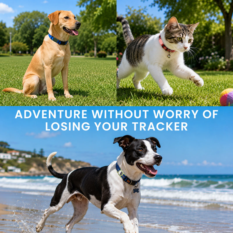 kwmobile Bluetooth Tracker Halter für Apple AirTag - Silikon Schutzhülle für Hunde Katzen Halsband - Smart Tag Holder für Haustiere - 1er Set Schwarz Schwarz Schwarz