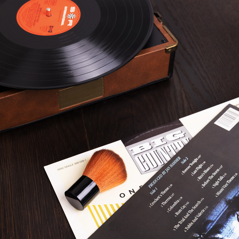 Nylon Reinigungsbürste für Schallplatten